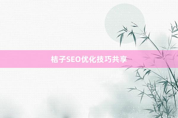 桔子SEO优化技巧共享