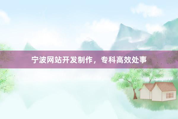 宁波网站开发制作，专科高效处事