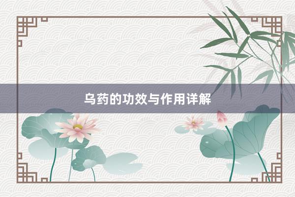 乌药的功效与作用详解